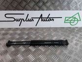 Tailgate/trunk strut/damper