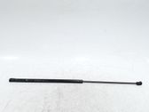 Front bonnet/hood damper/strut