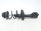 Front shock absorber/damper
