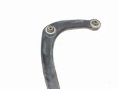 Front lower control arm/wishbone