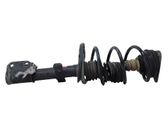 Front shock absorber/damper
