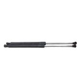 Tailgate/trunk strut/damper