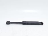 Front bonnet/hood damper/strut