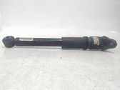 Rear shock absorber/damper