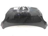Motorhaube