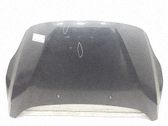 Engine bonnet/hood