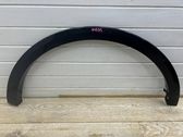 Fender trim (molding)