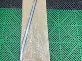 Front door glass trim molding