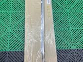 Rear door glass trim molding