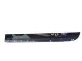Rear door trim (molding)