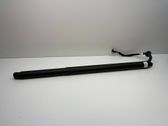 Tailgate strut