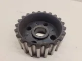 Fuel pump gear (pulley)