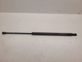 Front bonnet/hood damper/strut