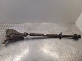 Rear differential