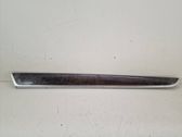 Front door trim bar