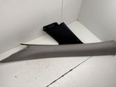 (A) pillar trim