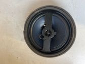 Rear door speaker