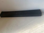 Front door trim (molding)