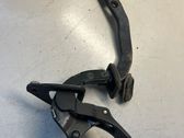 Tailgate/trunk/boot hinge