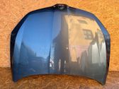 Engine bonnet/hood