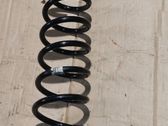 Front leaf spring
