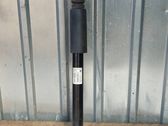 Stoßdämpfer hinten