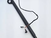 Tailgate/trunk strut/damper