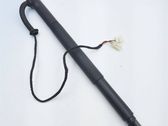 Tailgate/trunk strut/damper