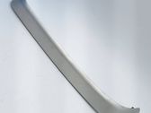 Front sill trim cover