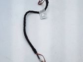 Sound system wiring loom