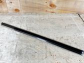 Rear door trim (molding)