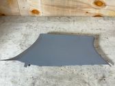 (C) pillar trim