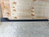 Front sill trim cover