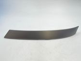 Other rear door trim element
