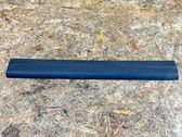 Front sill trim cover