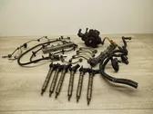 Fuel injection system set