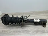 Front shock absorber with coil spring