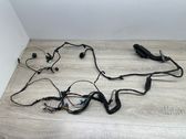 Front door wiring loom