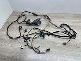 Rear door wiring loom