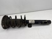 Front shock absorber with coil spring