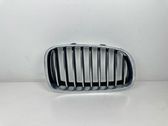 Front bumper upper radiator grill