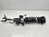 Front shock absorber/damper