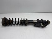 Rear shock absorber with coil spring