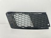 Front bumper lower grill