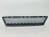 Front bumper lower grill