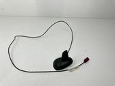 Radion antenni