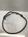 Positive cable (battery)