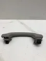 Front interior roof grab handle