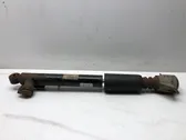 Rear shock absorber/damper