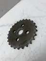 Timing chain sprocket